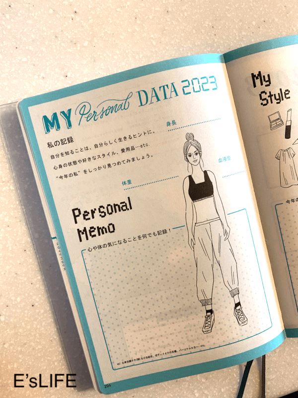 私の記録ページの中身